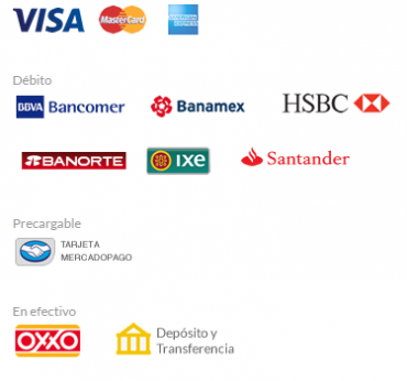 Métodos de pago en Casinos Online México 