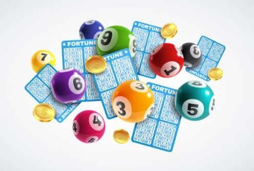 Las reglas básicas del bingo online 