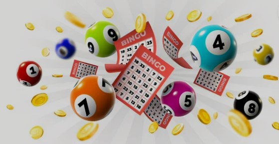 Reglas básicas del bingo online 